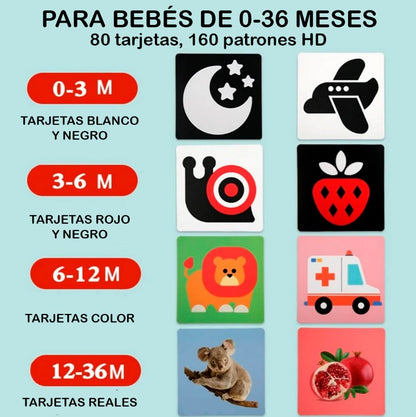 Tarjetas Sensoriales Montessori